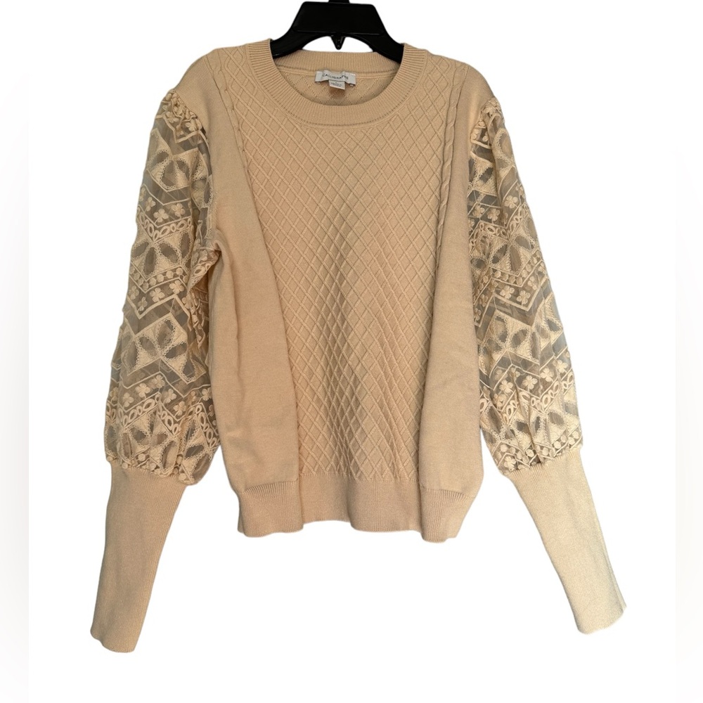 Anthropologie Calligraphie Beige Sweater with Lace Detail
